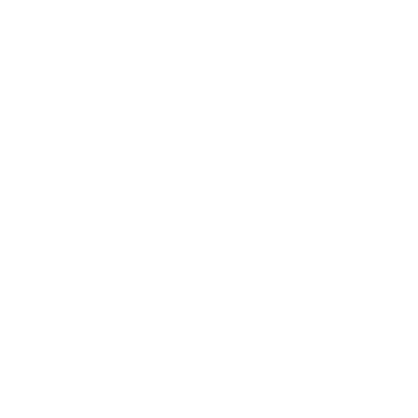Commerce ON Inc.